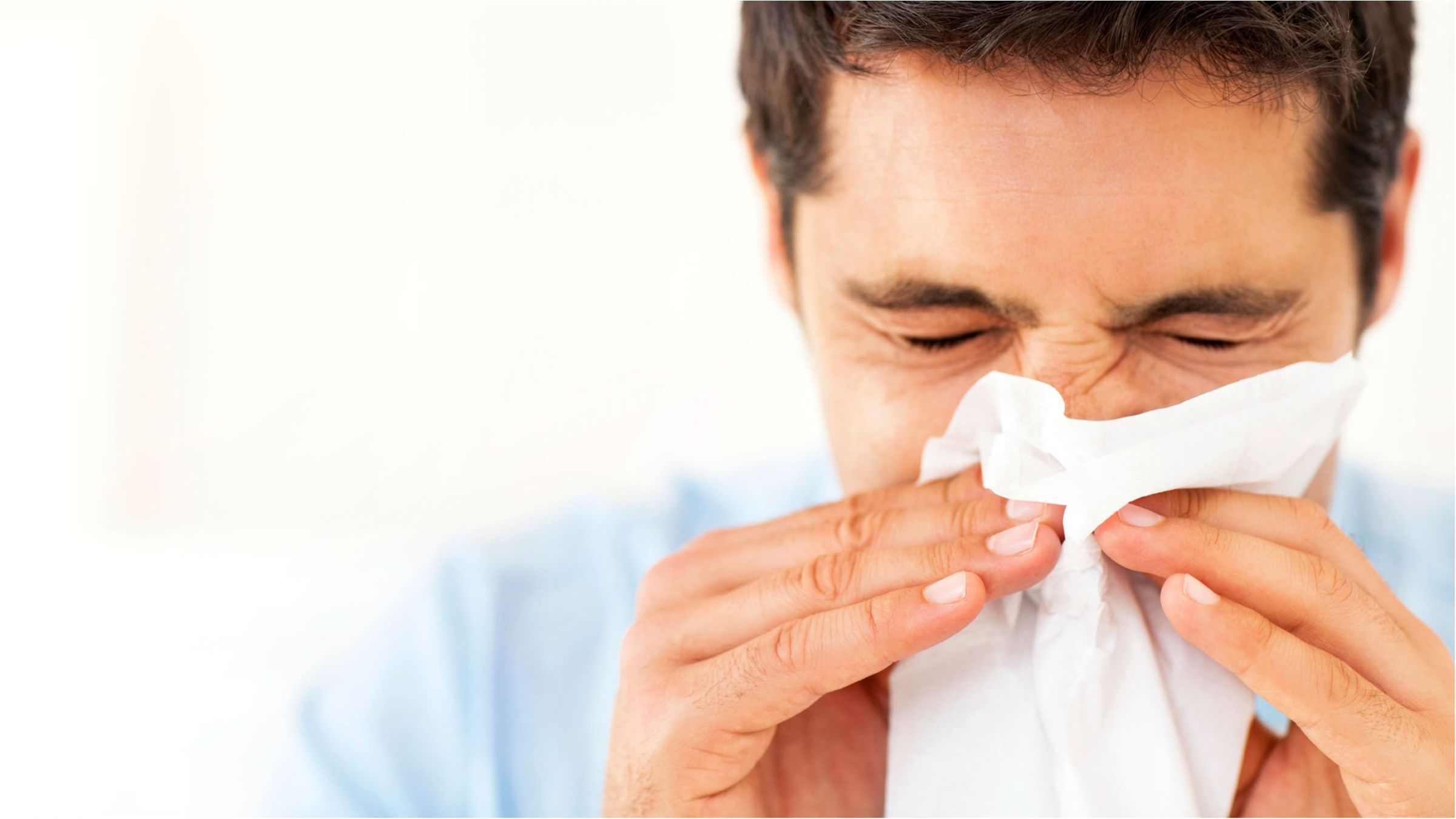 Людське антитіло IgE не може приєднуватися до імунних клітин - фото 1