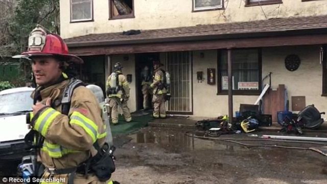 У США чоловік підпалив павука і позбувся будинку