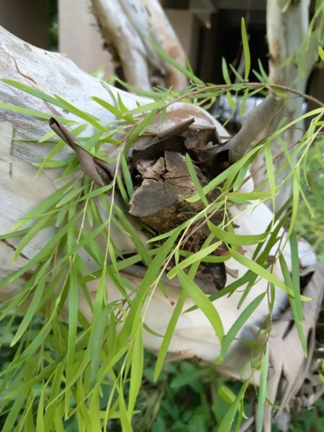 У мережі з'явилися фото, зняті на безрамковий Meizu M6S - фото 223130