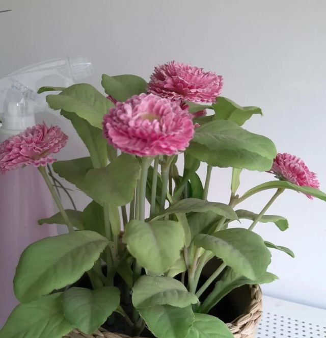 У мережі з'явилися фото, зняті на безрамковий Meizu M6S - фото 223126