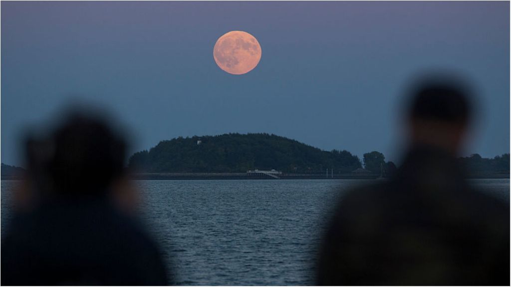 Місячне затемнення 31 січня - фото 1