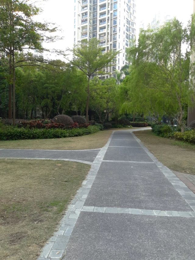 У мережі з'явилися фото, зняті на безрамковий Meizu M6S - фото 223129