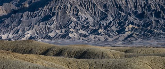 Istvan (Stevee) Somogyi - фото 219893