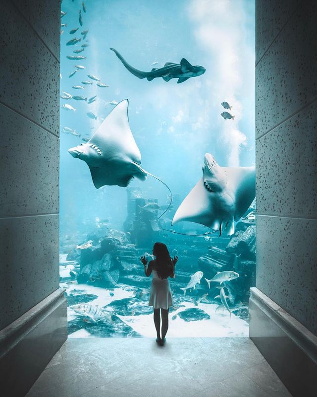 Чарівна мандрівка світом в об'єктиві талановитого фотографа - фото 223463