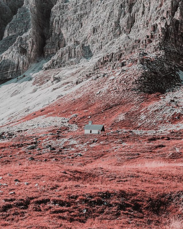 Davide Sasso - фото 219201