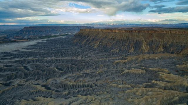Istvan (Stevee) Somogyi - фото 219894