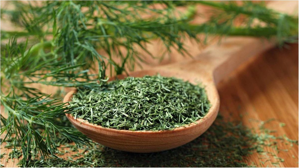 У цій лікарській рослині містяться ефірні олії - фото 1