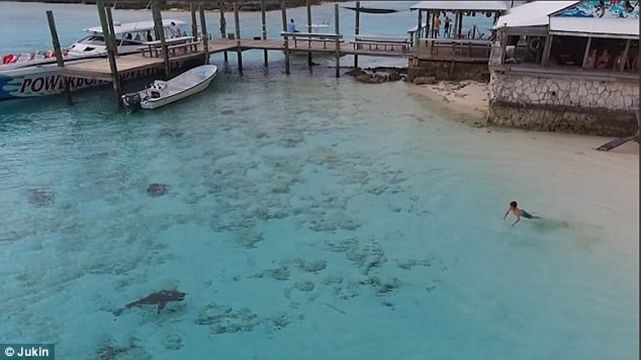 Хлопчик на Багамах дивом врятувався від чотирьох акул - фото 1