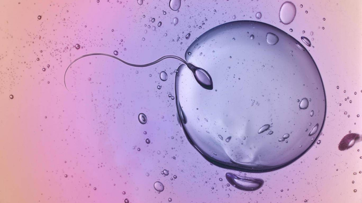 Вчені запропонували зробити контрацептив, який вас здивує - фото 1