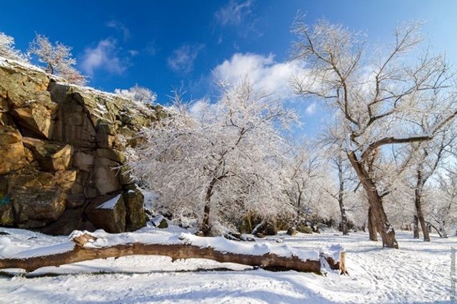 Засніжена Хортиця - фото 223452