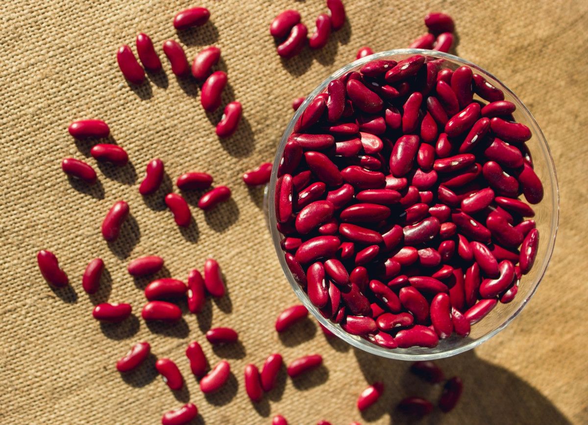 Медики розповіли, чому потрібно їсти квасолю - фото 1