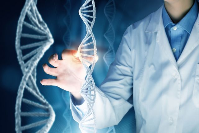 Генетикам вдалося знайти причину довголіття - фото 222263