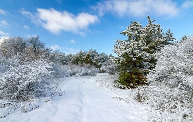 Засніжена Хортиця - фото 223456