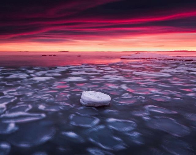 Janne Kahila - фото 223993