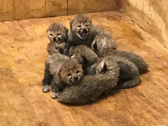 Щасливе сімейство- фото 218880