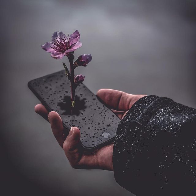 Stan Wesley - фото 219386