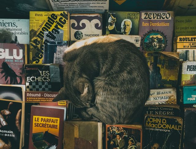 Талановитий алжирець робить неймовірні фото на телефон - фото 222364