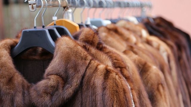 Норвегія повністю відмовляється від хутрової промисловості