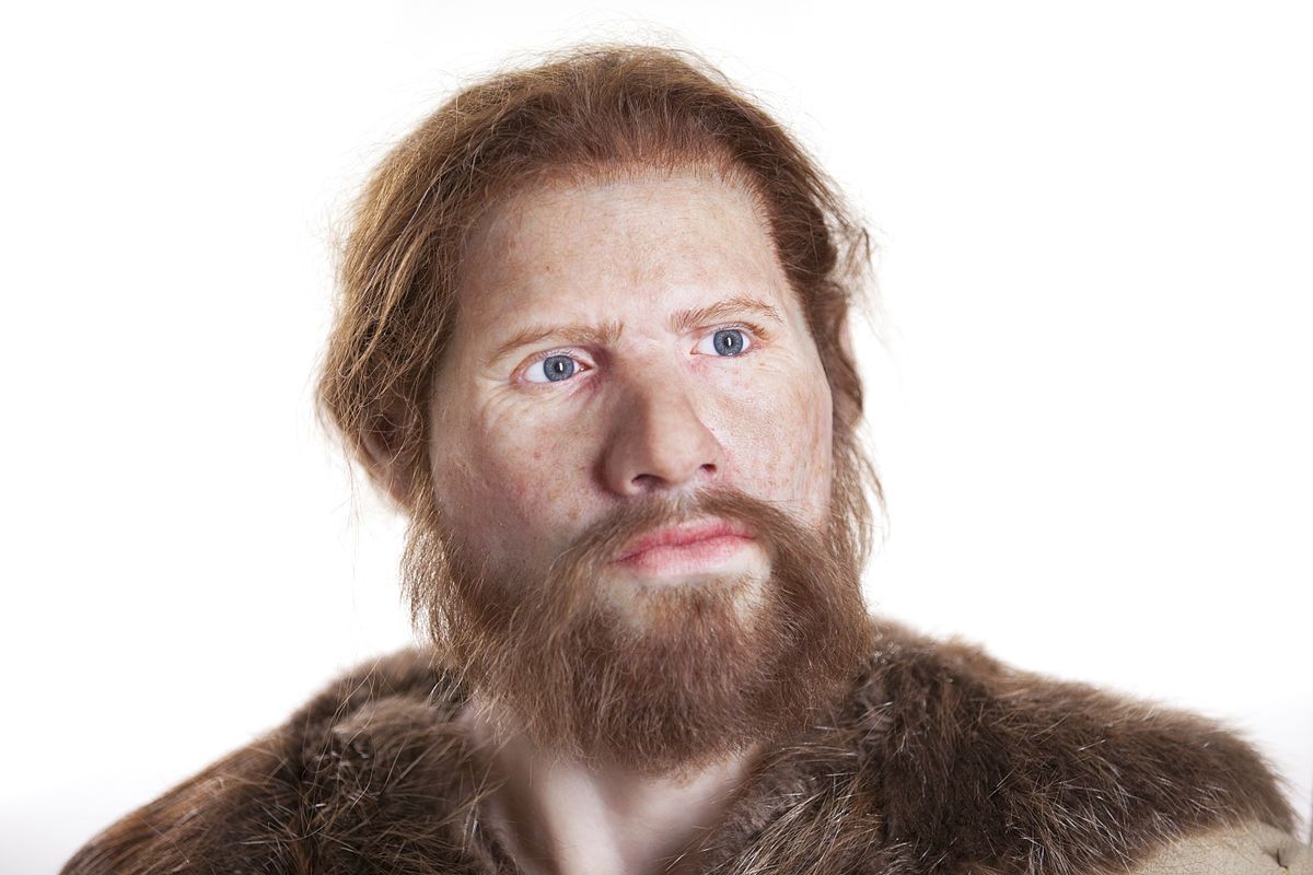 Змінено головну теорію походження людини