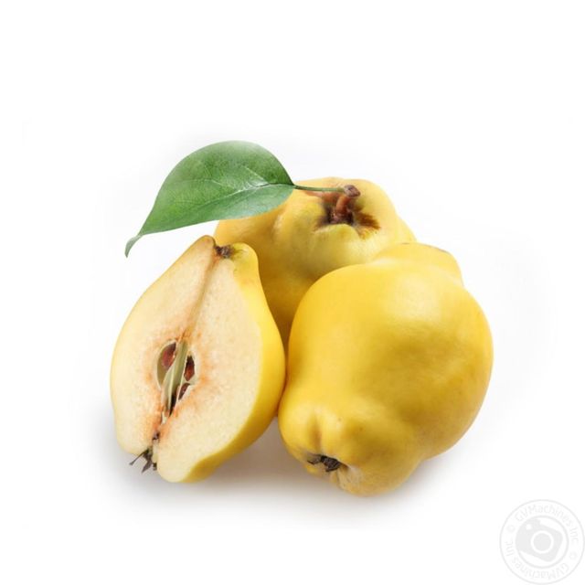 Вчені розповіли про корисні властивості айви- фото 223990