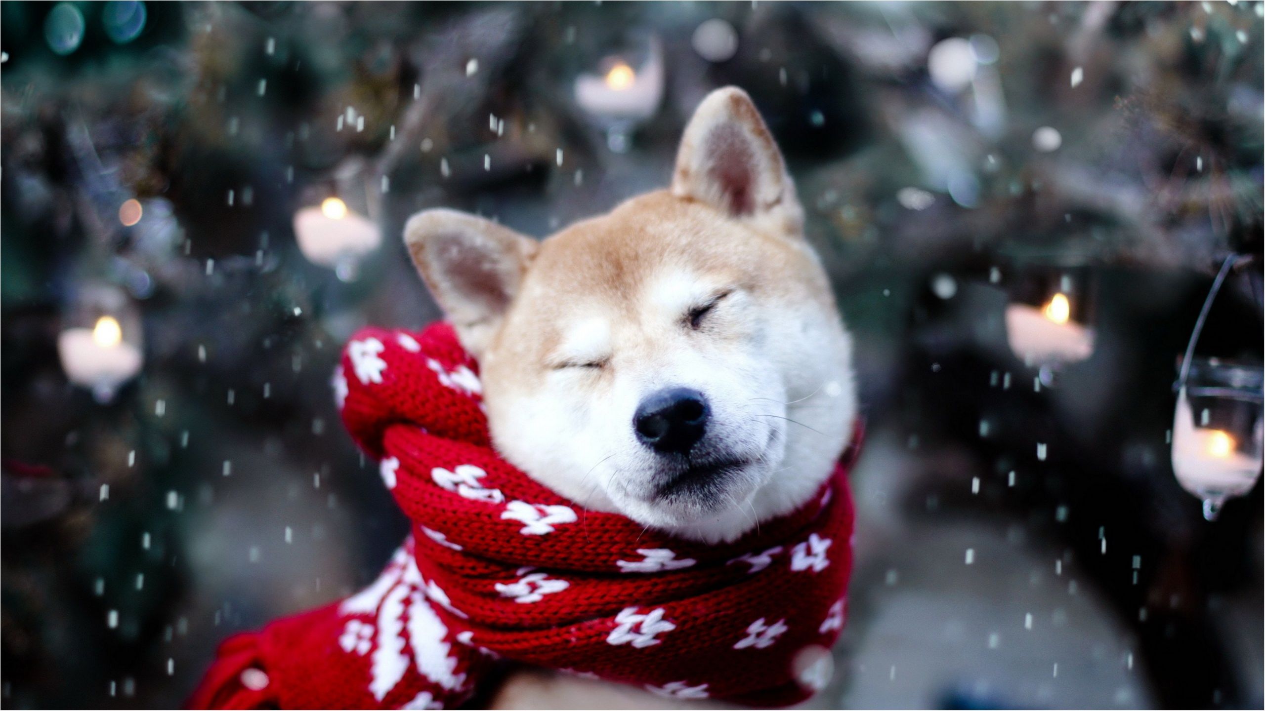 Вже з 25 січня існує висока ймовірність сильного похолодання - фото 1