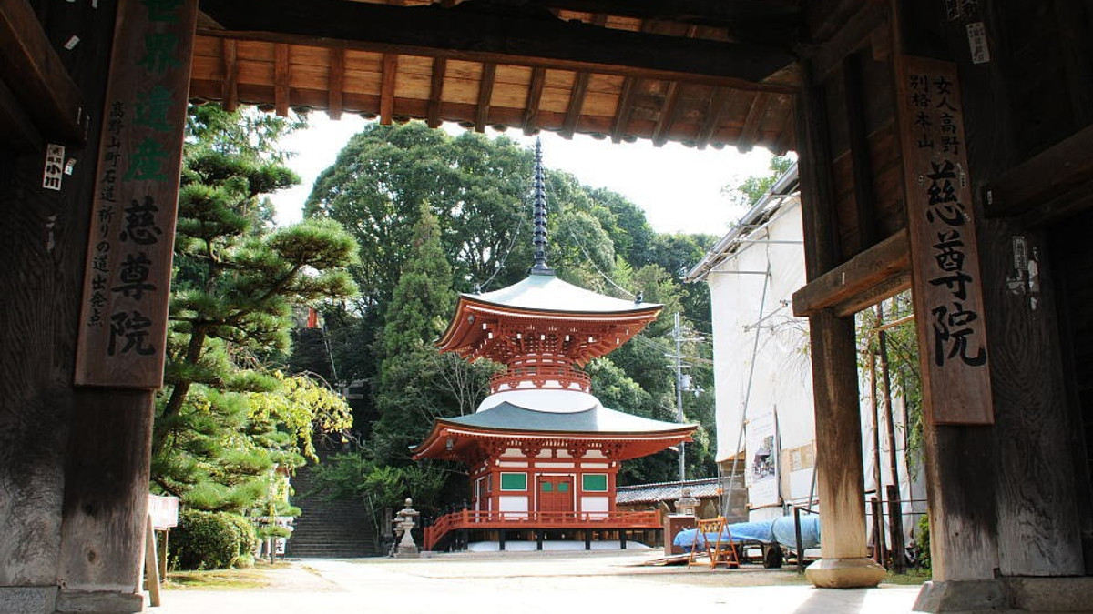 Як виглядає храм в Японії, присвячений жіночим грудям - фото 1
