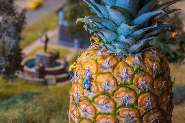 Крихітний світ, у якому здійснюються мрії - фото 222161