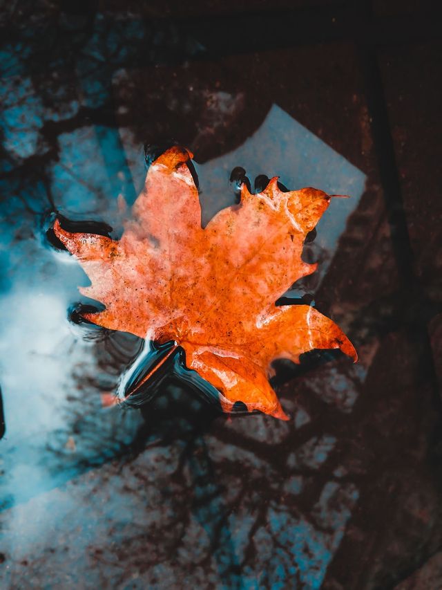 Талановитий алжирець робить неймовірні фото на телефон - фото 222359