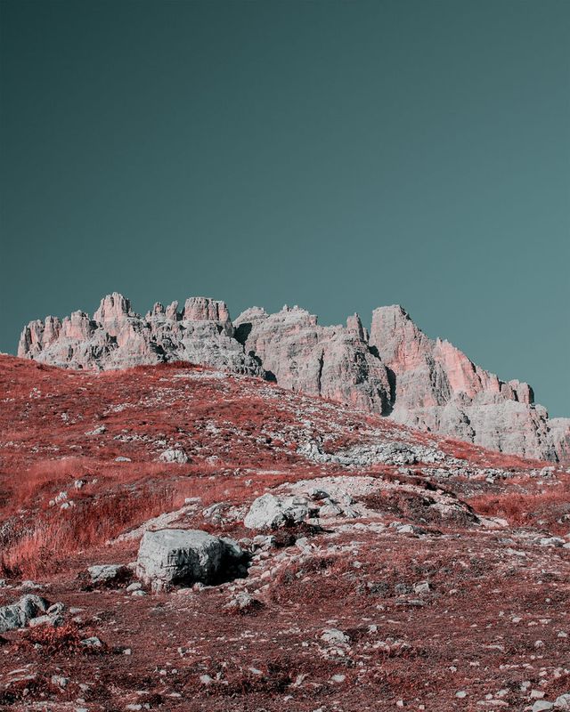 Davide Sasso - фото 219194