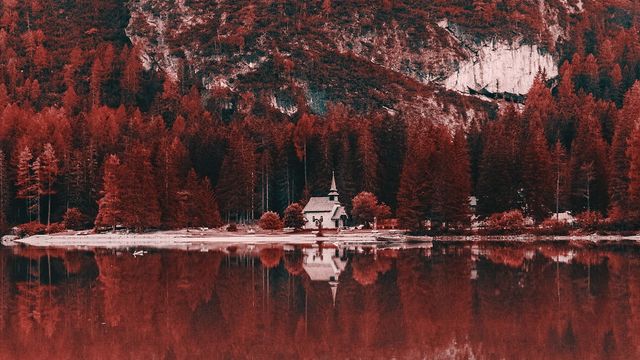 Davide Sasso - фото 219192