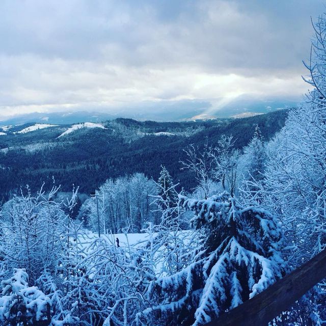 Засніжені гори - фото 219153