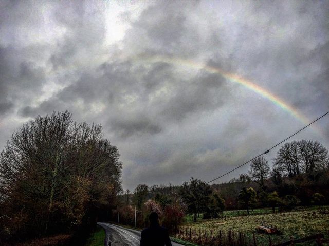 Svitlana Zalishchuk - фото 219949