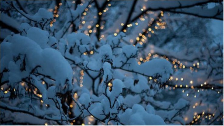 По Україні випадуть опади - фото 1