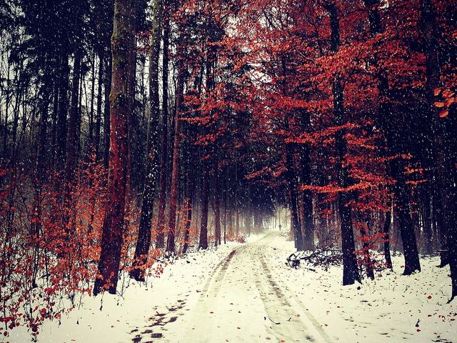 Синоптик попередила про значне похолодання - фото 1