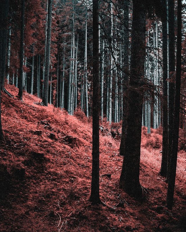 Davide Sasso - фото 219197