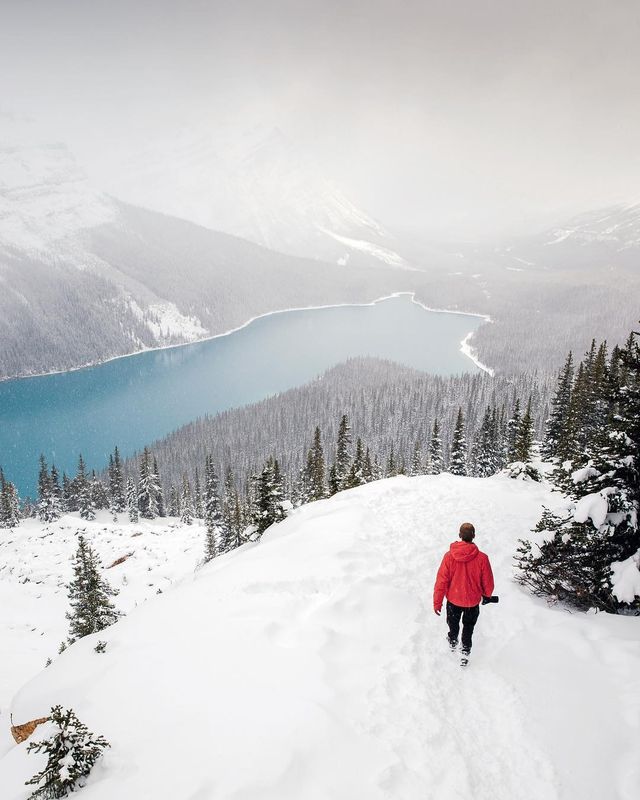 Ідеальні зимові подорожі: фото, від яких перехоплює дух- фото 219120