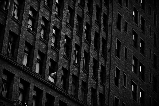 Rinzi Ruiz - фото 219534