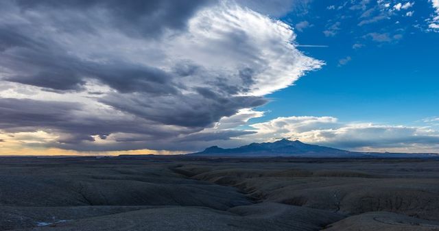 Istvan (Stevee) Somogyi - фото 219892