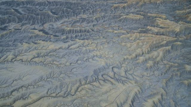 Istvan (Stevee) Somogyi - фото 219896