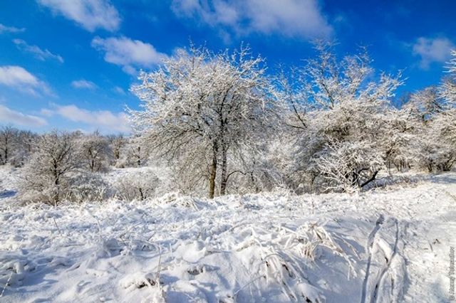 Засніжена Хортиця - фото 223454