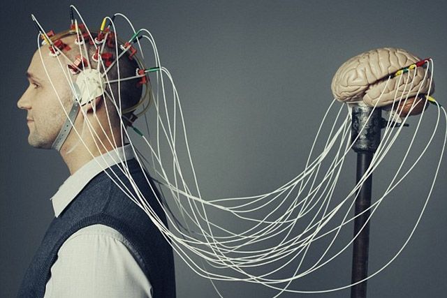 На відео показали рух думки через мозок