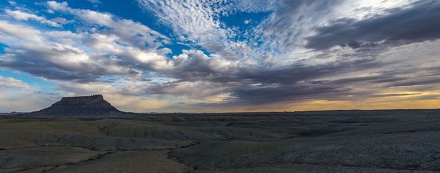 Istvan (Stevee) Somogyi - фото 219901