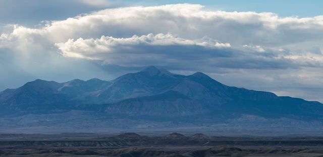 Istvan (Stevee) Somogyi - фото 219891