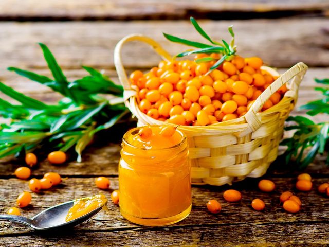 Обліпиха - фото 224417