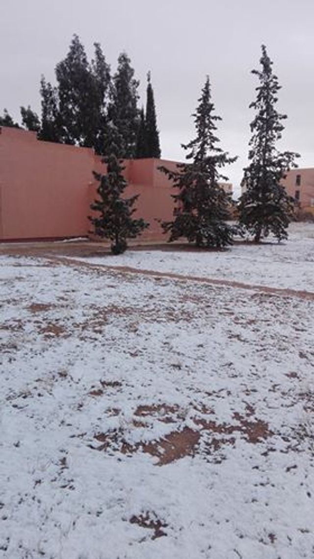 MétéoAlgérie‏- фото 225974