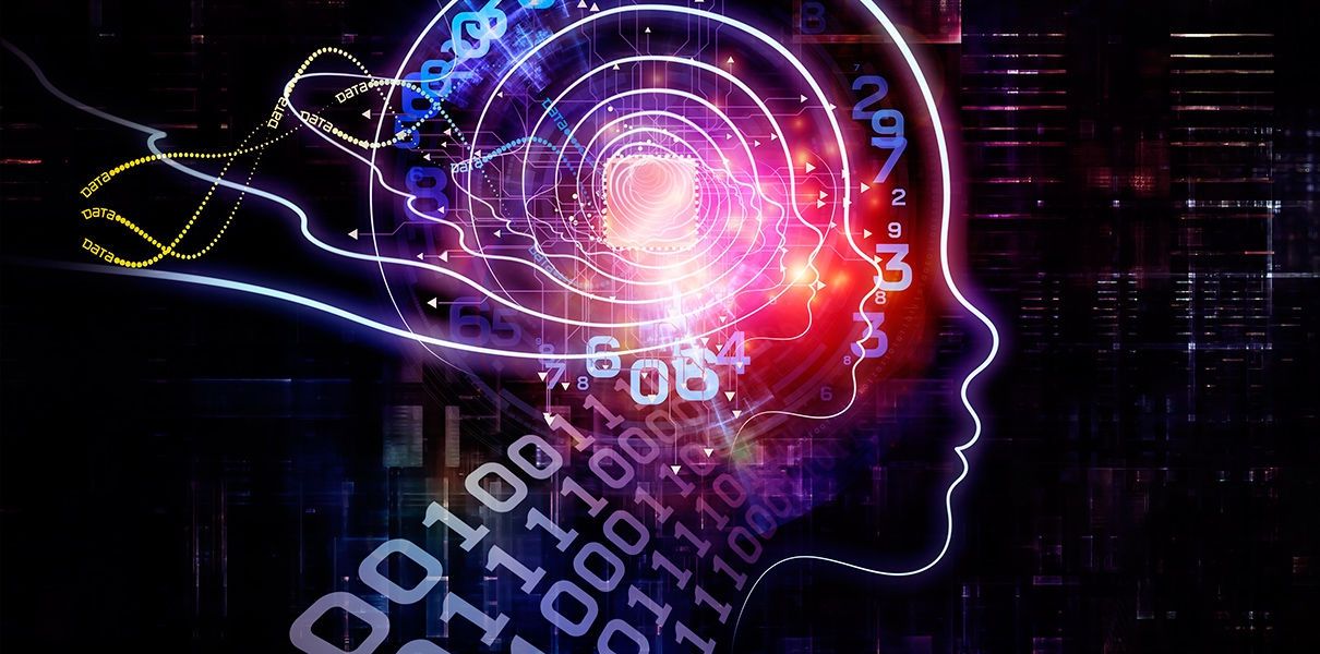 Науковці назвали несподівану ознаку інтелекту