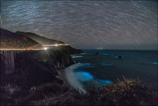 У Каліфорнії замерехтів океан - фото 226734