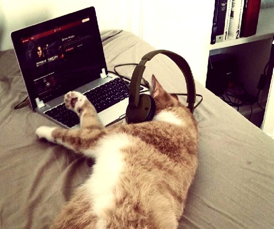 Чим небезпечний надто активний перегляд серіалів