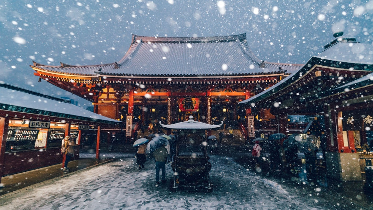 Токіо засипало снігом: чарівні фото - фото 1