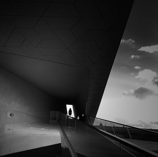 Названо найкращі мобільні фотографії 2017 року - фото 226886